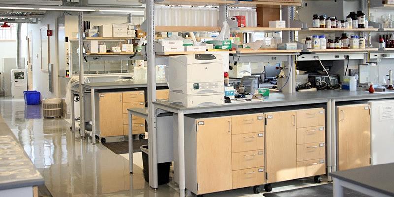 lab pic